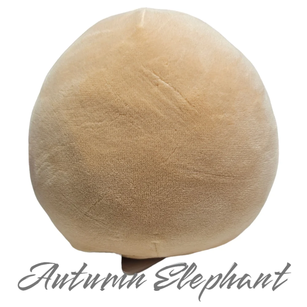 NWT Deja Poptart Squishmallow - Picture 4 of 8